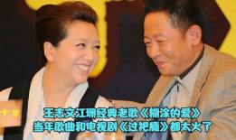 江珊王志文主演的电视剧